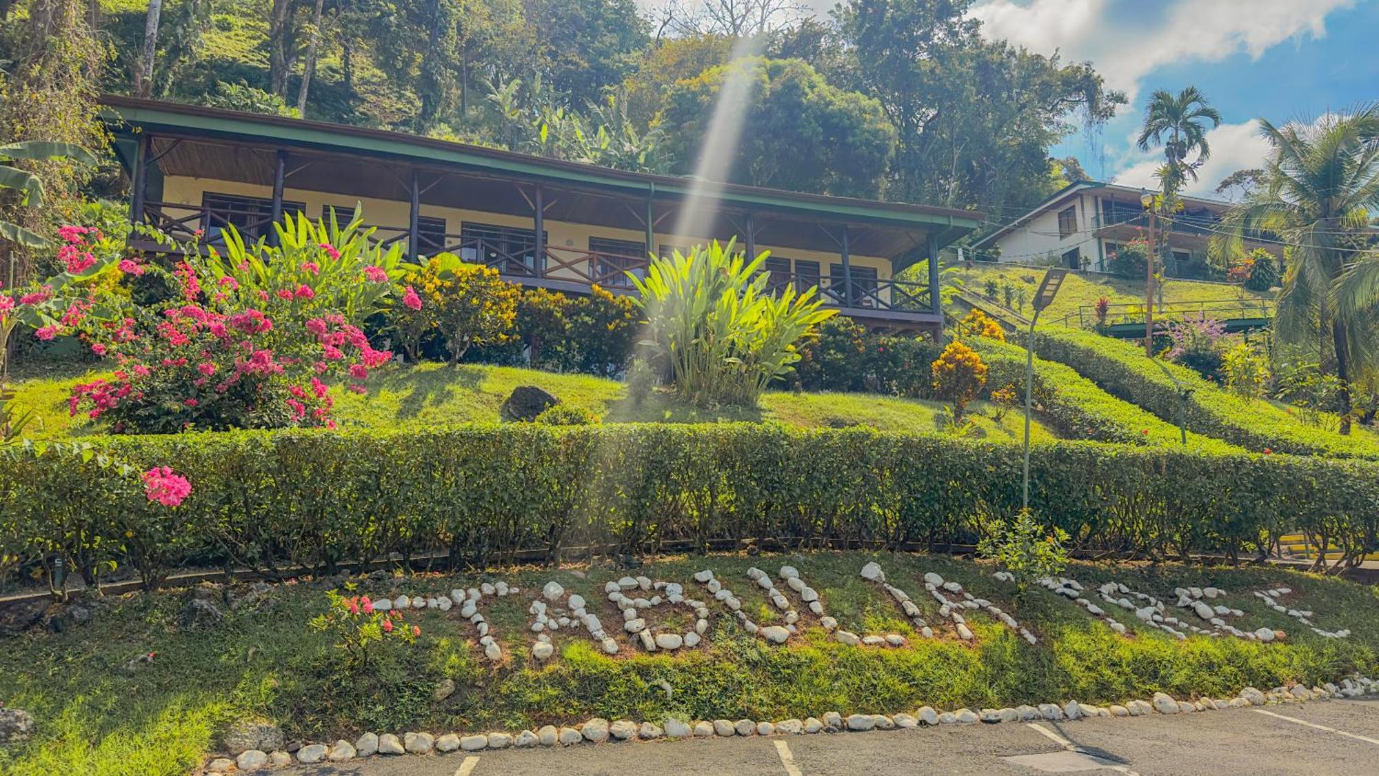 Hotel Tabulia Tree