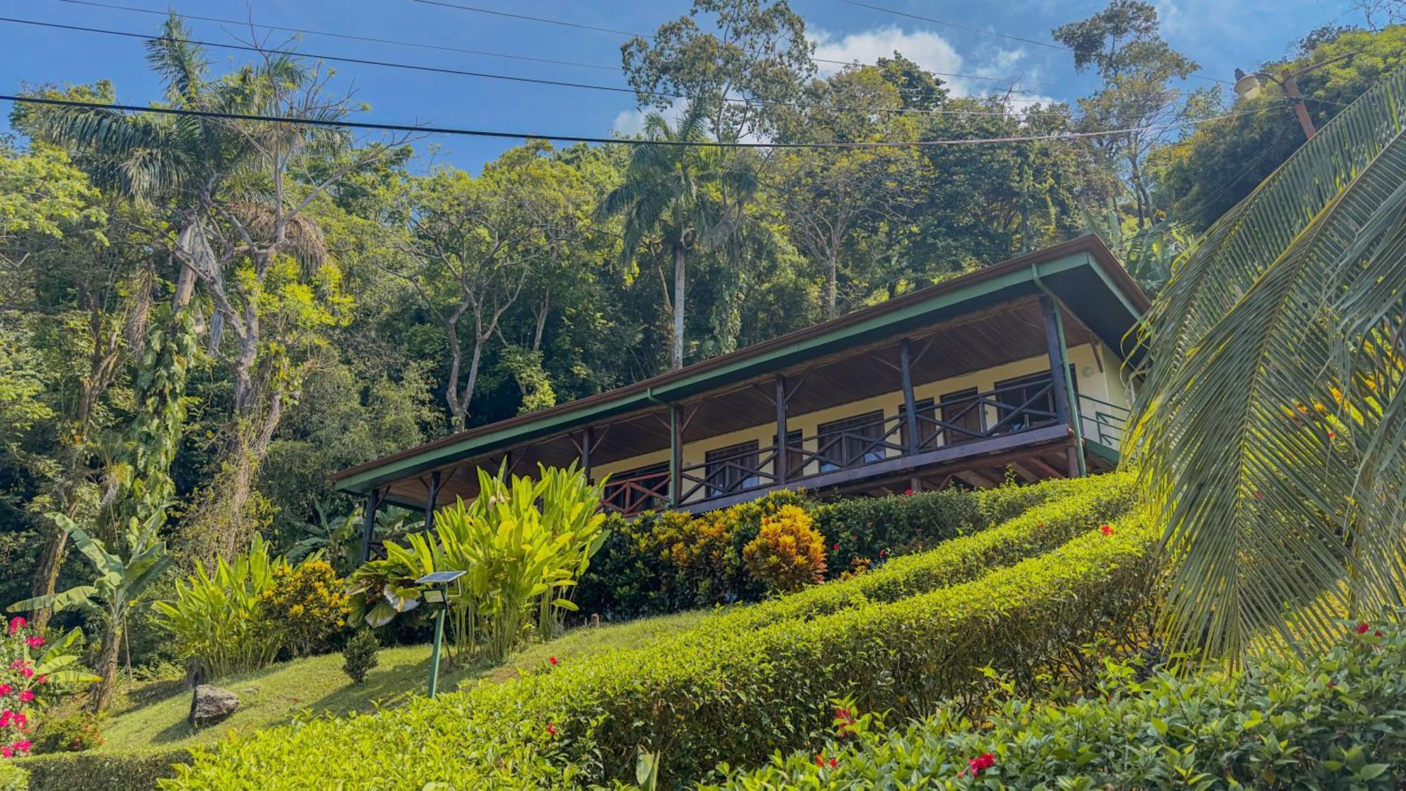 Tabulia Tree Hotel Nationalpark Manuel Antonio