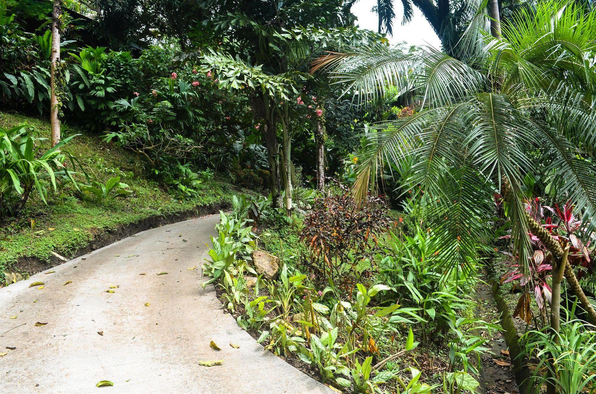 Tabulia Tree Hotel 3*