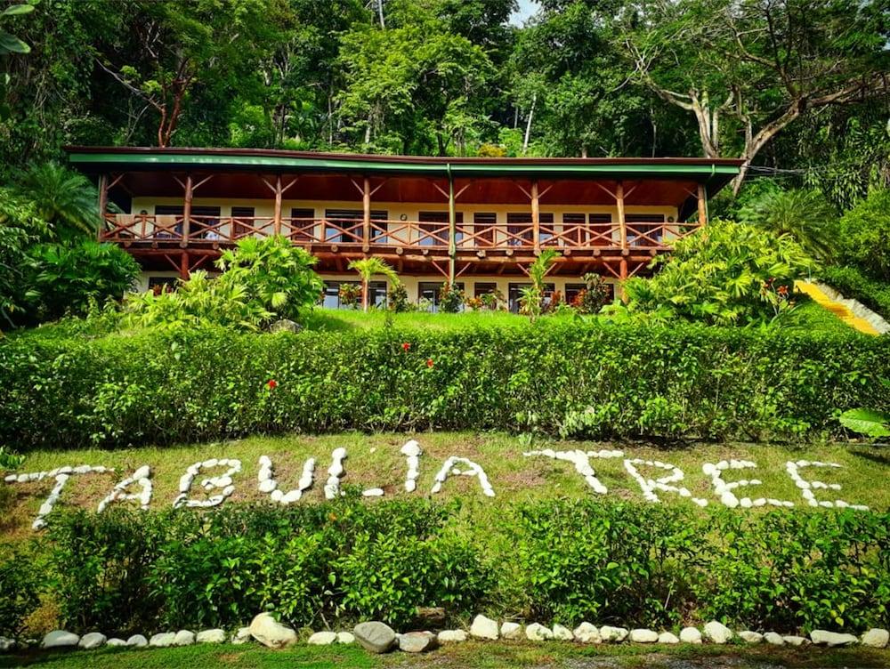 Hotel Tabulia Tree 3*